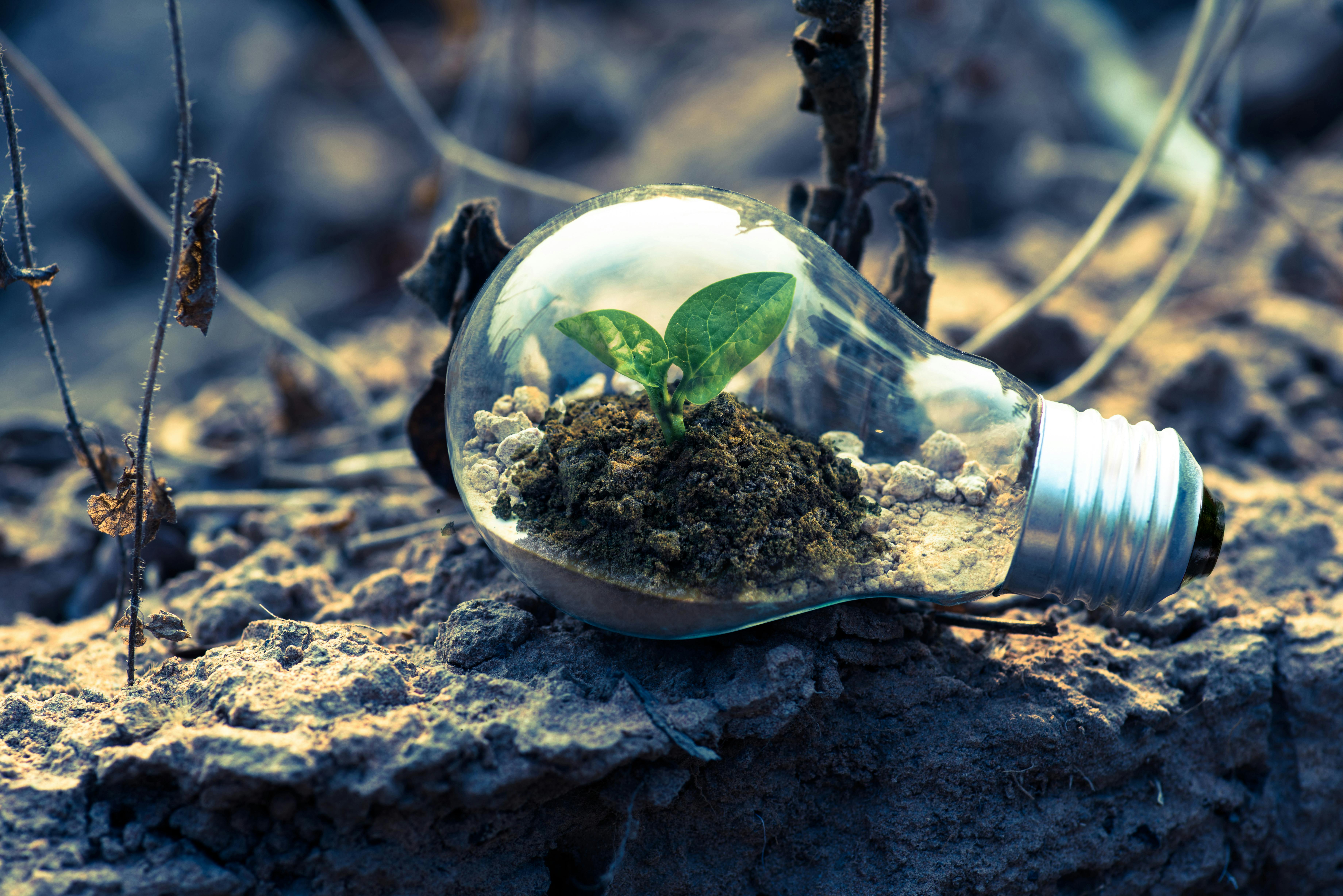 Enable-BIO at the All-Island Bioeconomy Summit
